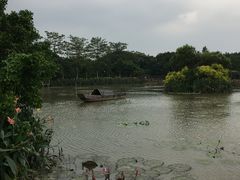 -大湾区中央湿地公园