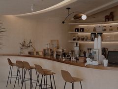-白茶原·一片叶子
