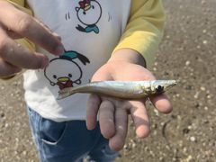 -北海市海滨公园