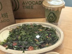 -油梨树AVOCADO TREE(顺义新国展店)