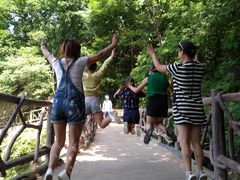 -少华山国家森林公园