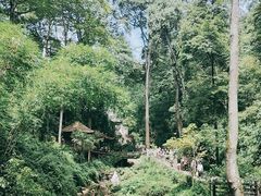-青城山