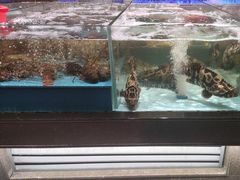 -阿伟海鲜楼·福建菜(延寿店)