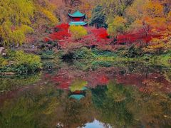 -岳麓山风景名胜区