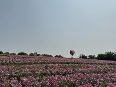 -歌斐颂巧克力小镇