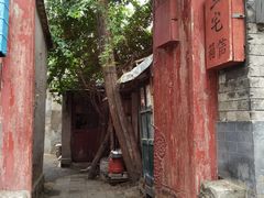 -Tubestation站点比萨(五道营店)