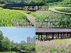-观音桥步行街