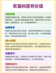 -Fundi张玉珊修身堂·indiba·BTL科技瘦身