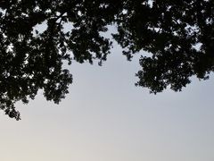 -黄埔古港