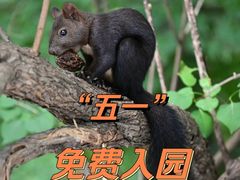 -黑龙江省森林植物园