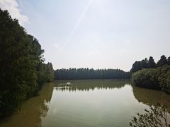 -上海海湾国家森林公园