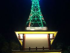 -金鸡山公园