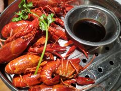 -0574龙虾的故事(东裕店)