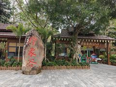 -野象谷景区