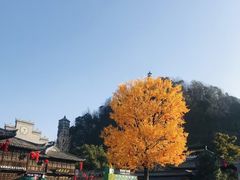 -紫阳古街