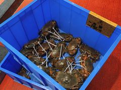 -珍之宝御品·寻味顺德(容桂渔人码头店)