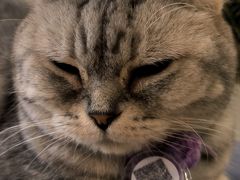 -平行世界·猫咖(首经贸店)
