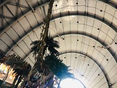 -辽宁古生物博物馆