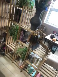 -CP·STUDIO发型工作室