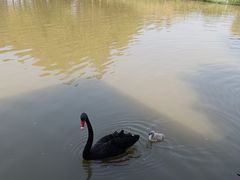 -宁波杭州湾国家湿地公园