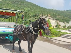 -山西乌金山旅游区