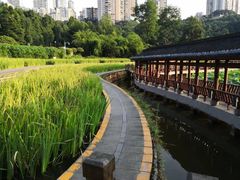 -龙头寺公园