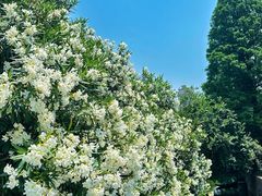 -竺桥兄弟烤鸭馆(竺桥店)