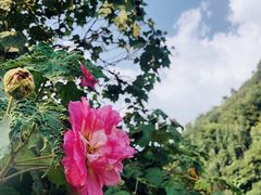 -贵阳市花溪国家城市湿地公园