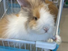 -怪兽屋·羊驼·猫咖·狗咖(俊华广场店)