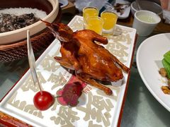 -大鸽饭(北京路店)