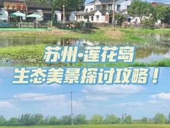 -小陆莲花蟹园农家乐(莲花岛店)