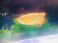 -弘安丽水温泉酒店