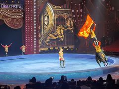 -珠海横琴长隆《卡卡虎奇遇记》