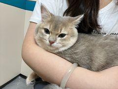 -虹泰宠物医院 ·旗舰店·24h(南秀路店)