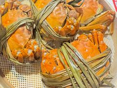 -杨氏青龙虾·羊蝎子(托乐嘉店)