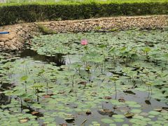 -三亚南山文化旅游区