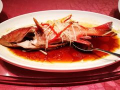 -上海新锦江大酒店