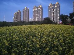 -长白岛森林公园