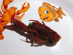 -霸王虾·小龙虾香辣蟹(玉林店)