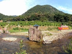 -广州市石门国家森林公园
