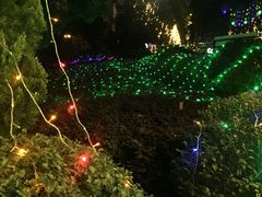 -宝莱纳啤酒花园餐厅PAULANER BRAUHAUS Nanjing(广州路店)