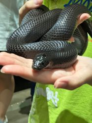 -Zoolung Zoolung动物主题公园(海信广场店)