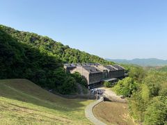 -龙坞茶村