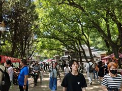 -狼山风景名胜区