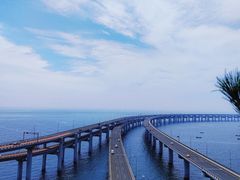 -星海湾跨海大桥