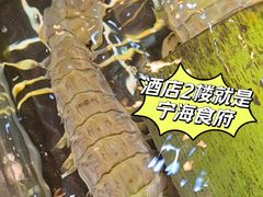 -宁海食府·涌宴(真和店)