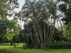 -福田红树林生态公园