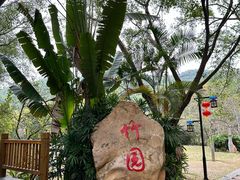 -大屏嶂森林公园