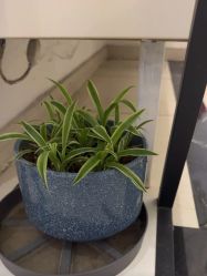 -香秀空间科技抗衰·美容中心