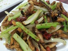 干煸鱿鱼-烁佳海鲜大馅饺子